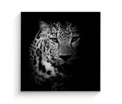 Cuadro 100 X 100 Cm Retrato Leopardo Kyz Tela Multicolor