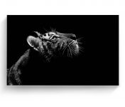 Cuadro 120 X 180 Cm Retrato Tigre Kyz Tela Multicolor