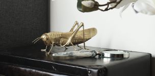 Figura Decorativa Saltamontes Criket Cnr Dorado