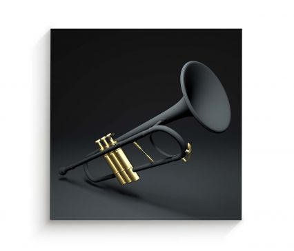 Cuadro Trompeta 3D Negro