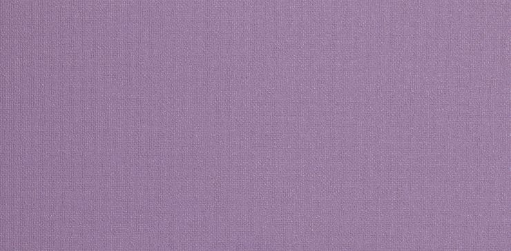 Papel Tapiz Kids Morado Kd1105