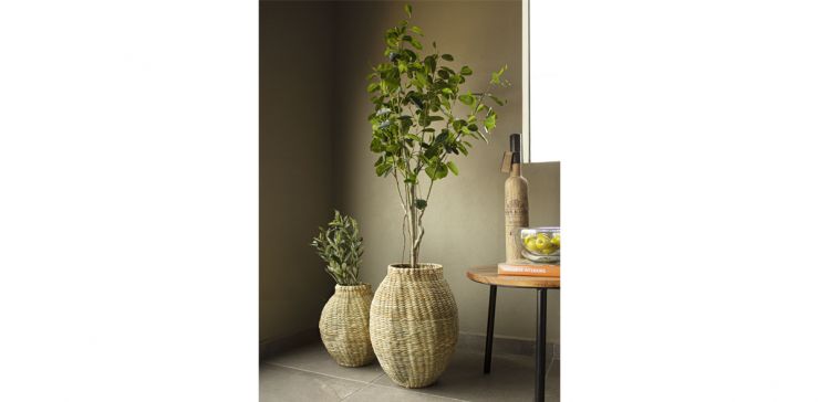 Planta Artificial Ficus -A150 Verde Cnr