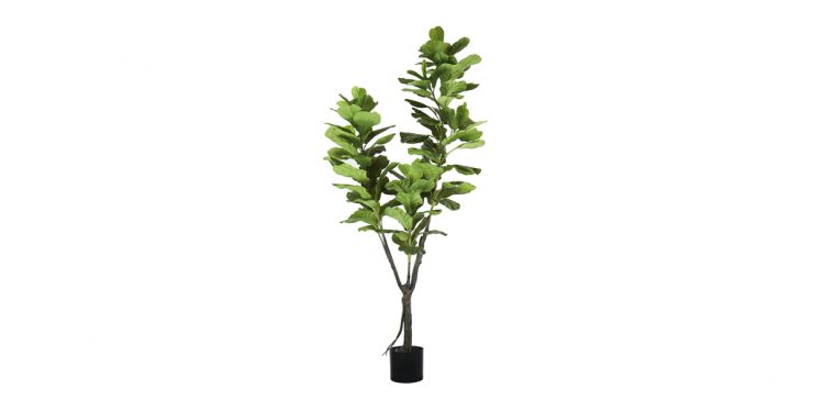 Planta Artificial Ficus Elastica-A210 Verde Cnr