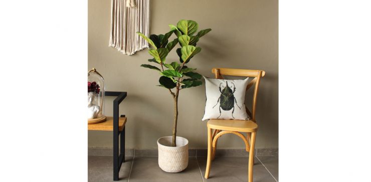 Planta Artificial Pandurata A130 Cnr Verde