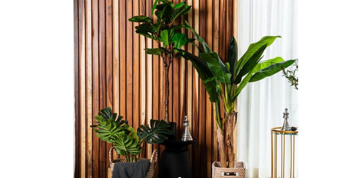 Planta Artificial Pandurata-A95 Verde Cnr