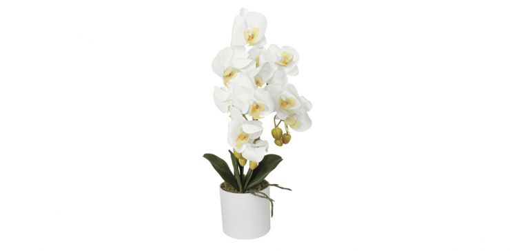Planta Artificial Orquidea Cnr Verde