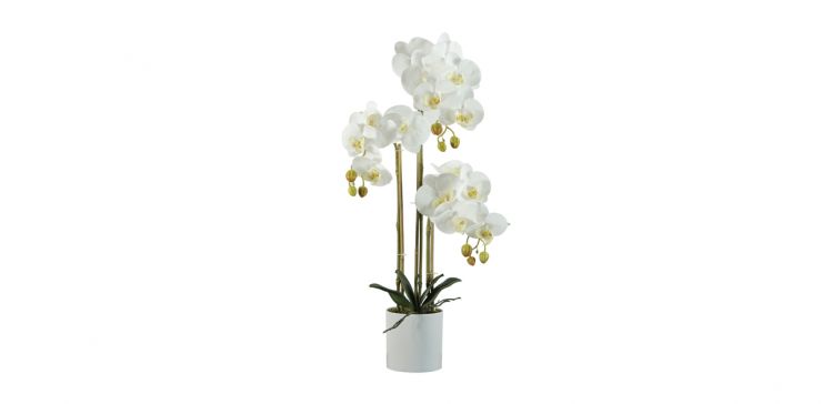 Planta Artificial Orquidea Cnr Verde