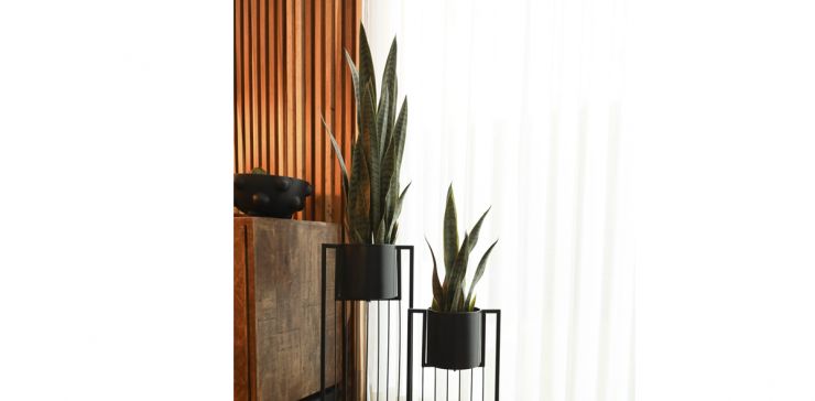 Planta Artificial Sansevieria Verde