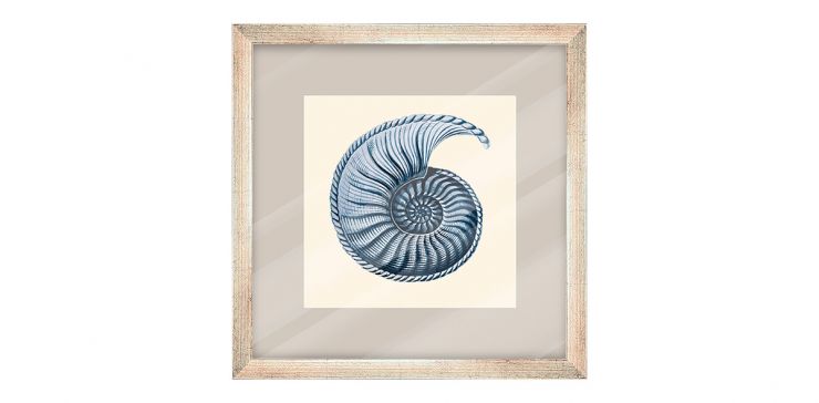 Cuadro Decorativo 60 x 60 cm Ocean Conch Gris