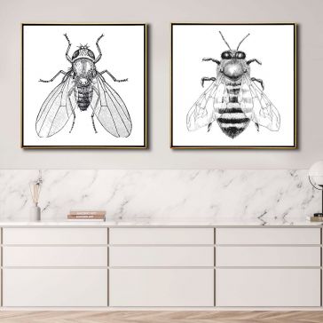 Cuadro Decorativo 123 x 123 cm 2 Piezas Par De Insectos Kyz Multicolor