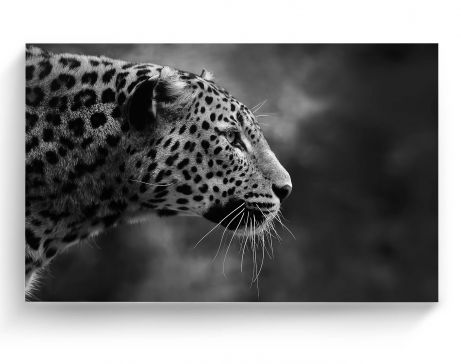 Cuadro 70 X 105 Cm Retrato de Perfil de Leopardo Kyz Tela Multicolor