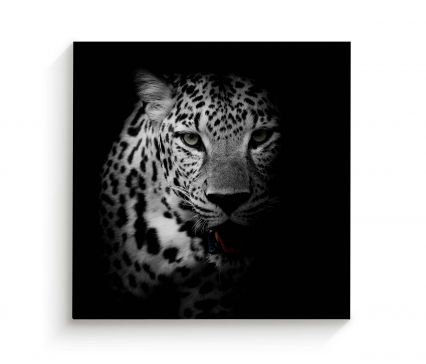 Cuadro 70 X 70 Cm Retrato Leopardo Kyz Tela Multicolor