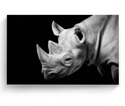 Cuadro 70 X 105 Cm Rinoceronte Kyz Tela Multicolor