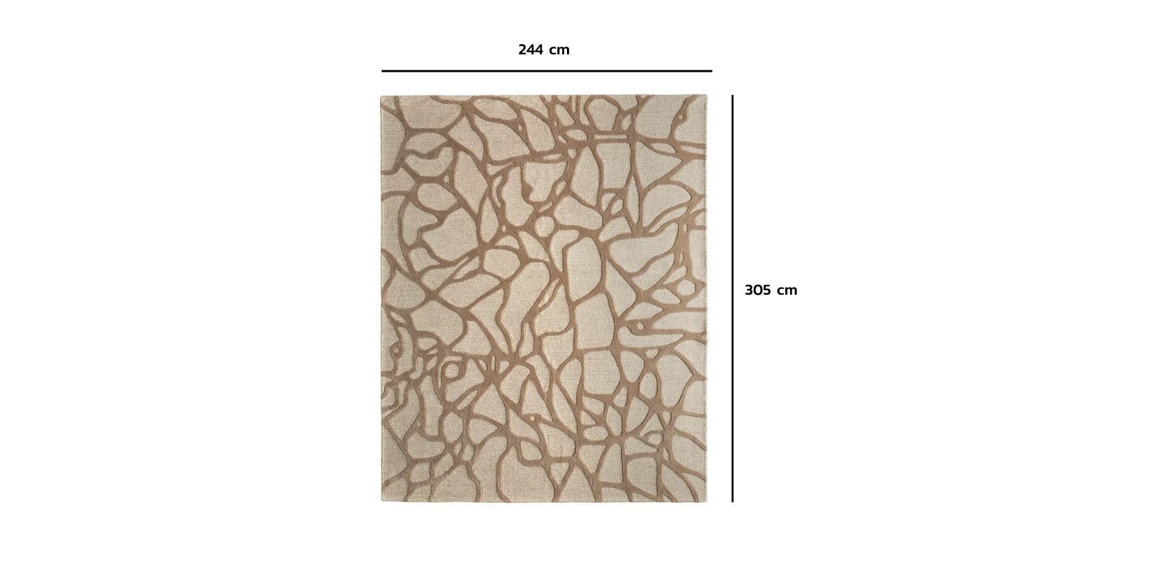 Tapete 244 x 305 cm Kimball Beige